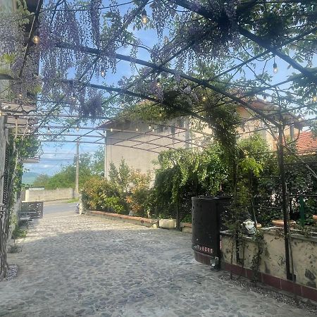 Villa Luxury House Teodora à Deva Extérieur photo